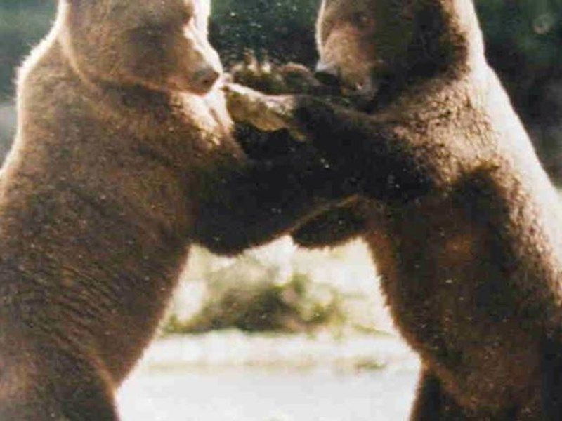 صورة الفندق 24