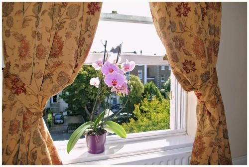 صورة الفندق 18