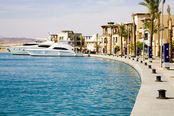 صورة الفندق 24