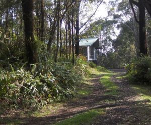 Secluded Rainforest Retreat Pahoa United States