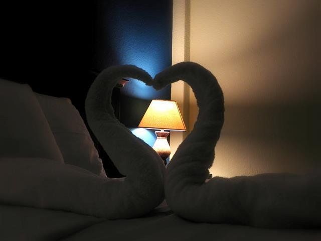 صورة الفندق 15
