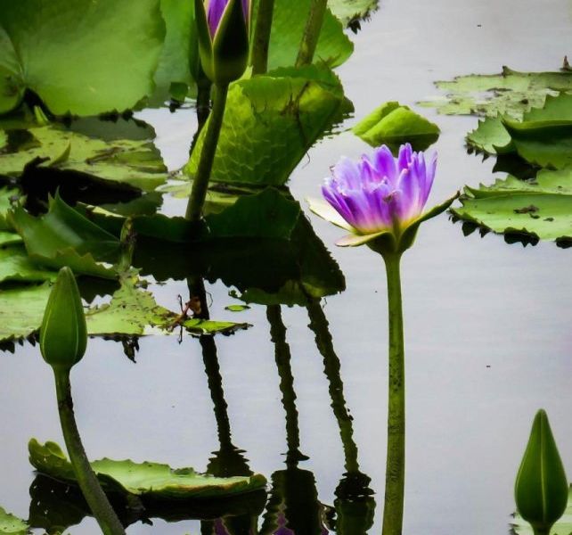 صورة الفندق 17