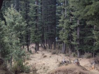 صورة الفندق 5