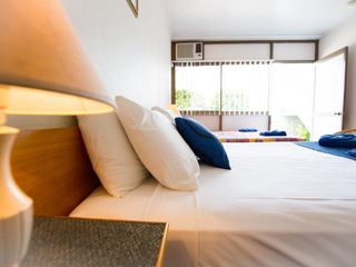 Hotel pic ZED MOTELS Tropical Gateway