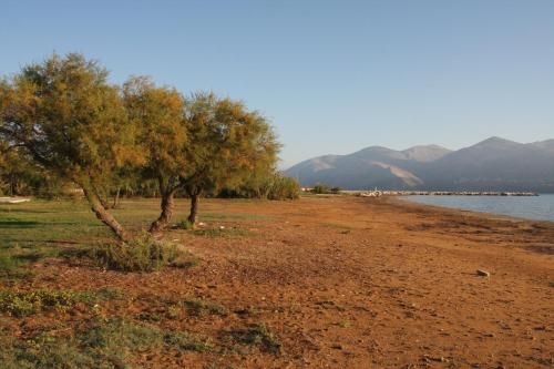 صورة الفندق 14