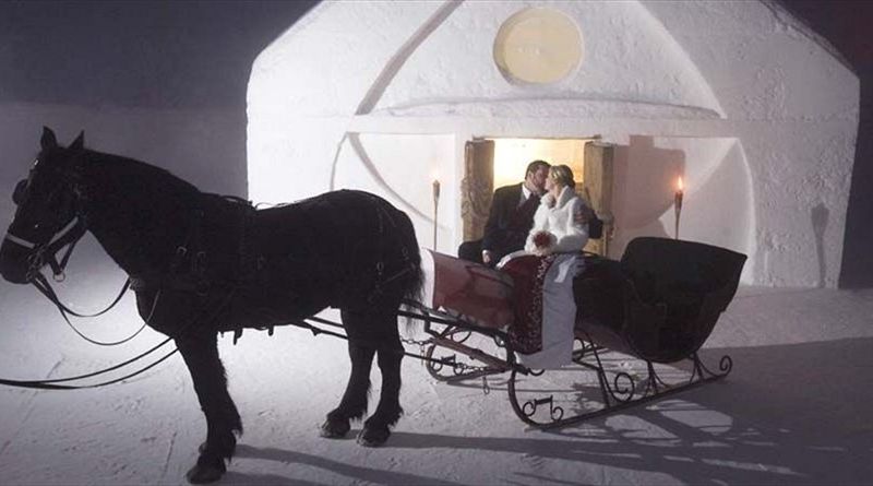 صورة الفندق 18