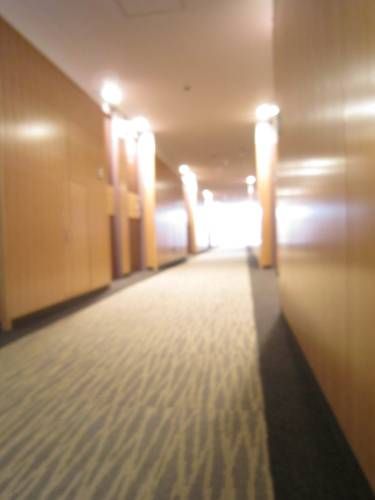صورة الفندق 17