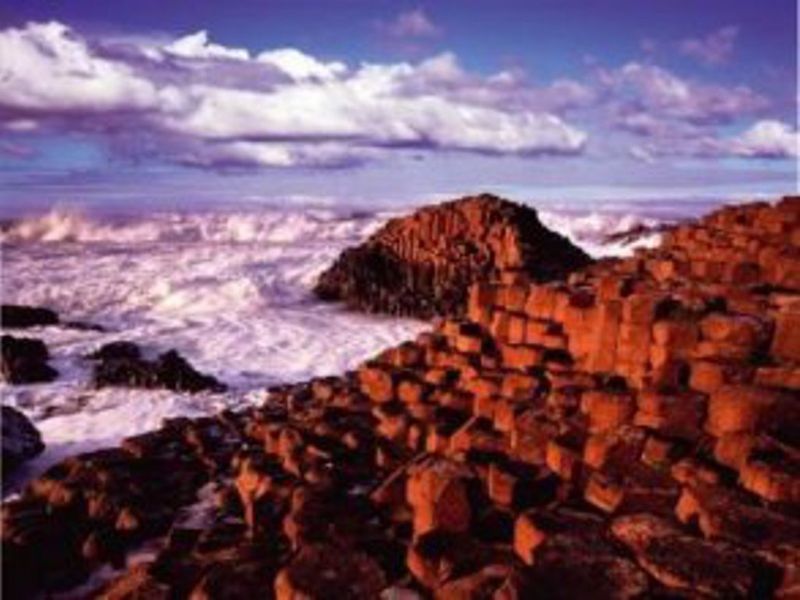صورة الفندق 4