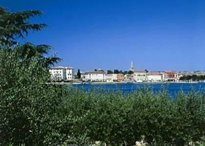 صورة الفندق 10