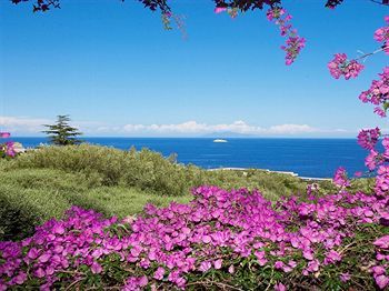 صورة الفندق 23