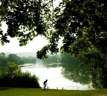 صورة الفندق 22