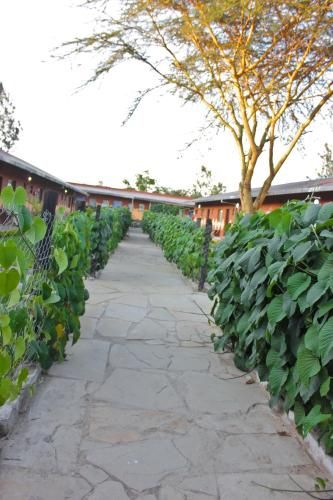 Hotel Photo 21