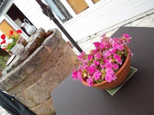 صورة الفندق 18