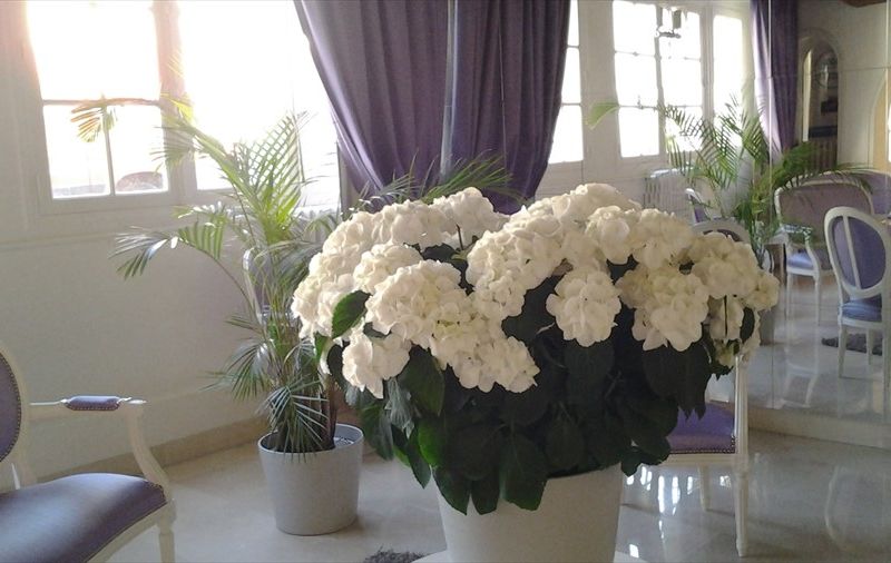 صورة الفندق 17