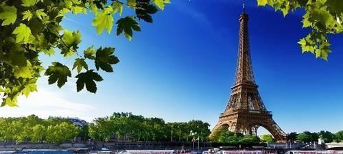 صورة الفندق 24