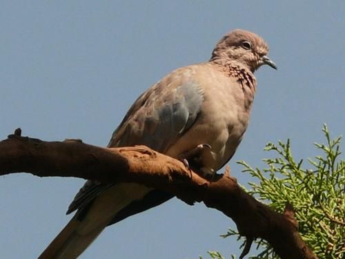 صورة الفندق 13