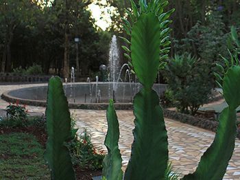 صورة الفندق 15