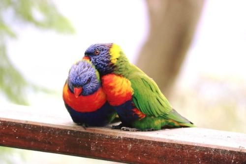 صورة الفندق 10
