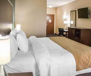 Comfort Inn & Suites San Marcos San Marcos United States