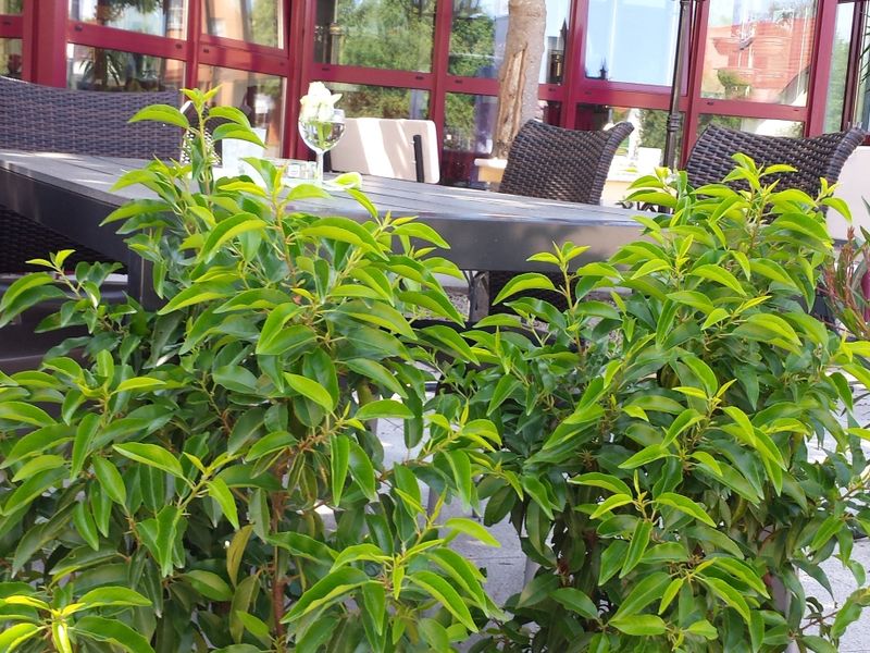 Hotel Photo 24