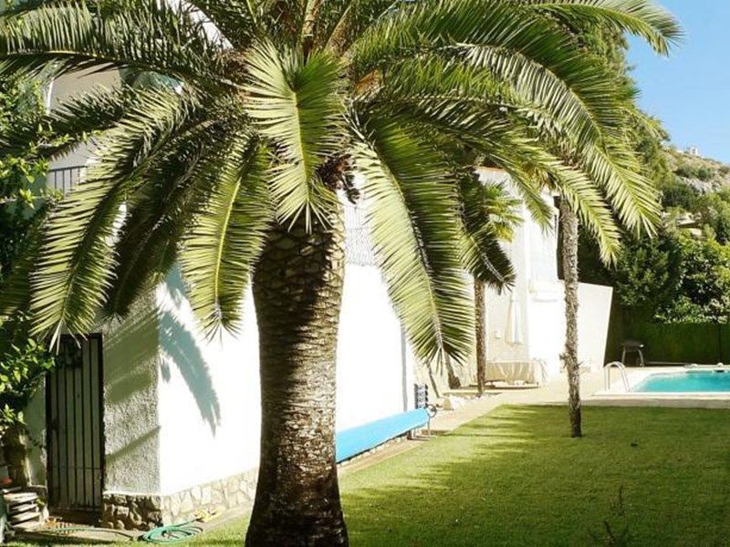 صورة الفندق 1