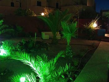 صورة الفندق 15