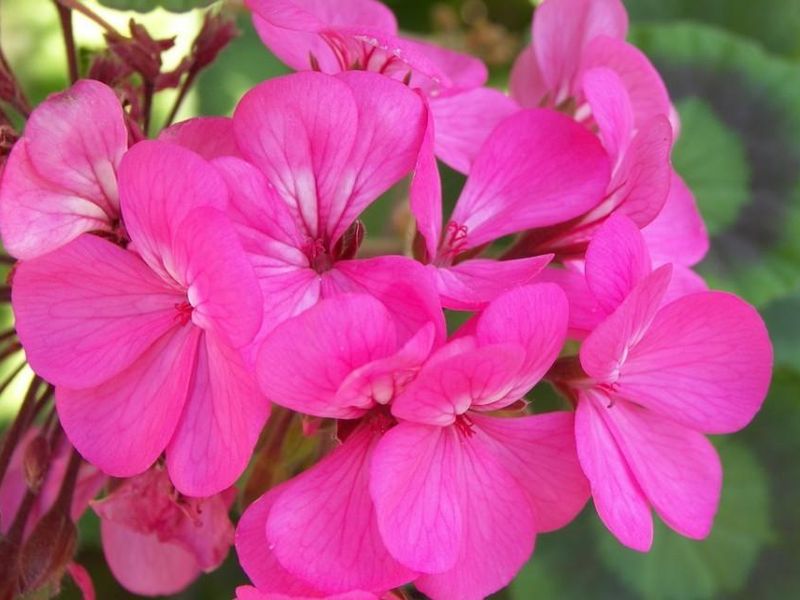 صورة الفندق 11