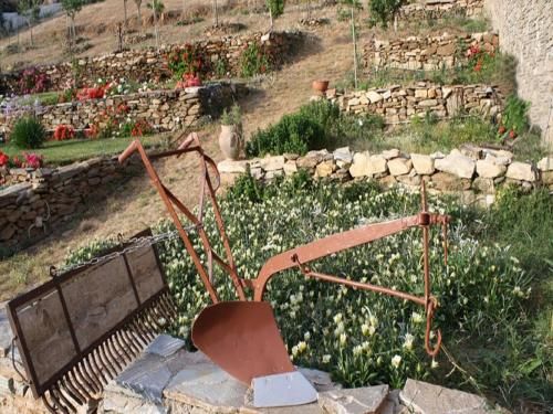 صورة الفندق 14