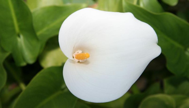 صورة الفندق 18