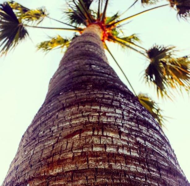 صورة الفندق 24