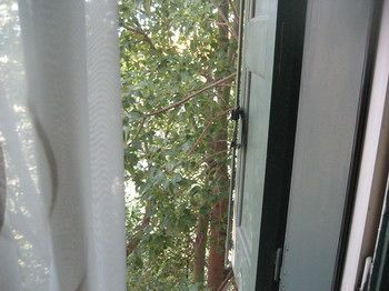 صورة الفندق 8