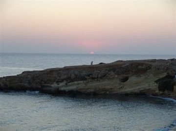 صورة الفندق 19