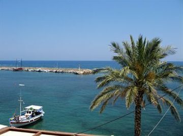 صورة الفندق 20