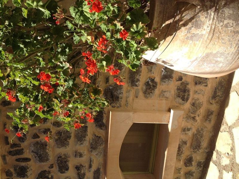 صورة الفندق 16