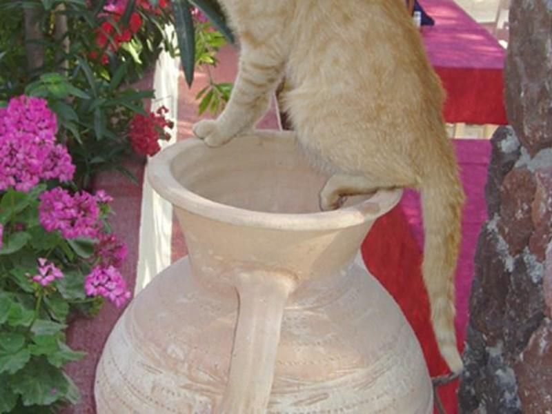 صورة الفندق 14