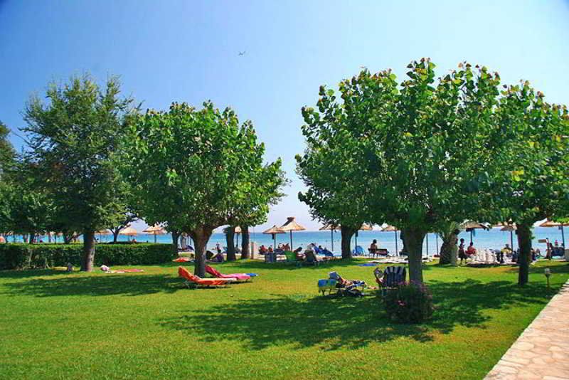 صورة الفندق 19