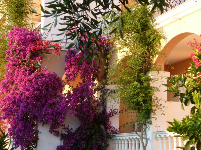 صورة الفندق 15