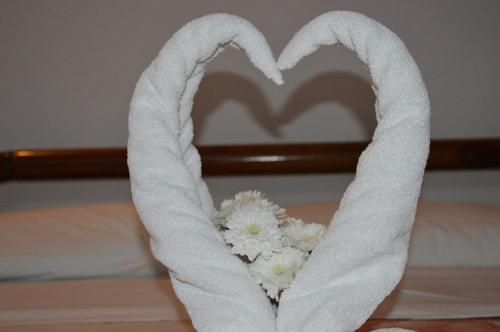 صورة الفندق 17