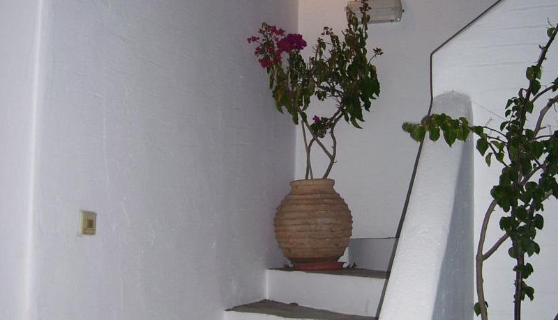 صورة الفندق 14