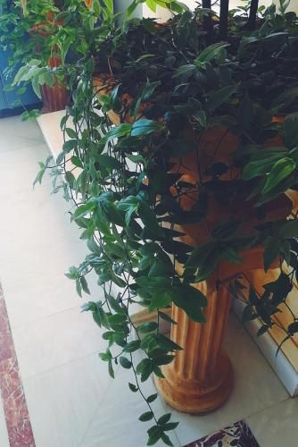 صورة الفندق 12