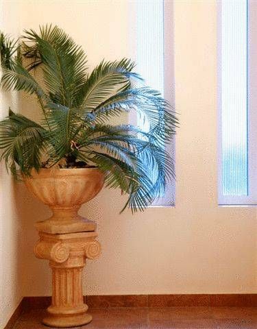 صورة الفندق 6