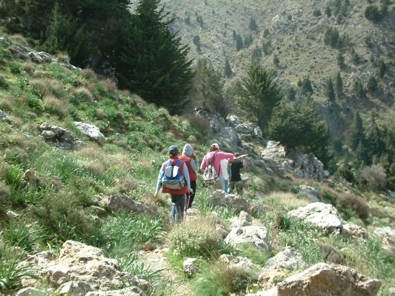 صورة الفندق 19