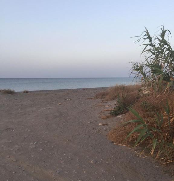 صورة الفندق 22