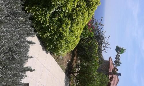 صورة الفندق 18