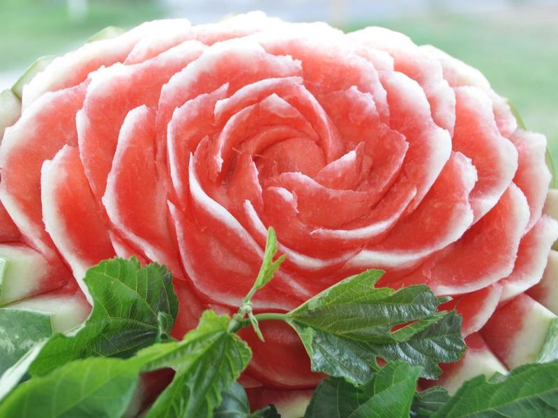 صورة الفندق 19