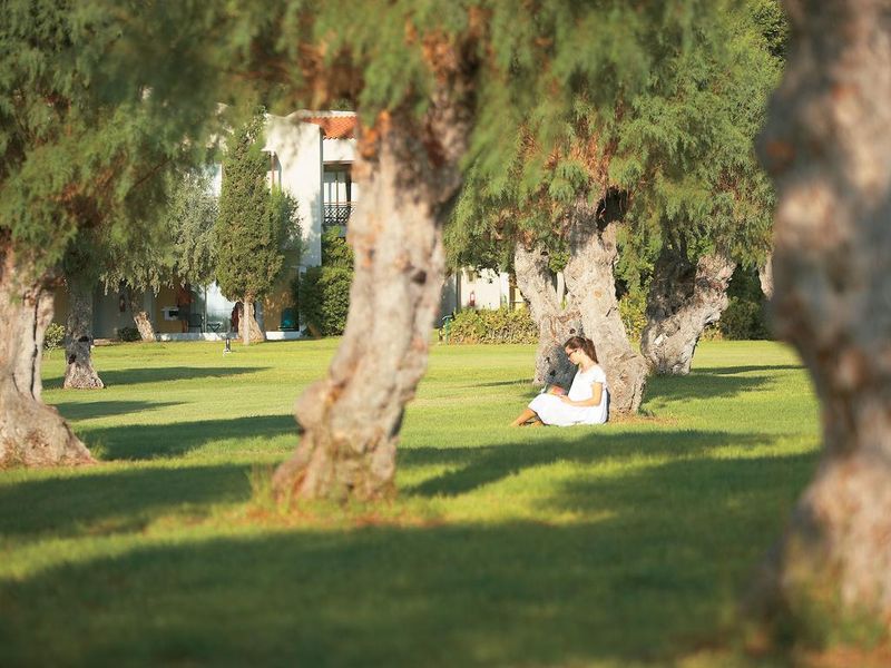 صورة الفندق 19