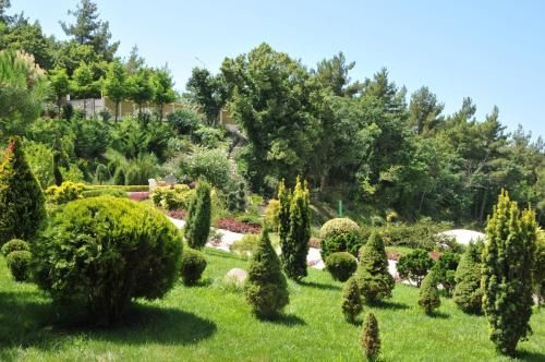 صورة الفندق 12