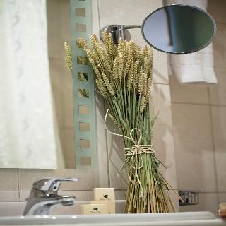صورة الفندق 11