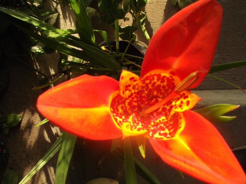 صورة الفندق 17