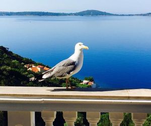 Apartments Jasmina Vinisce Croatia